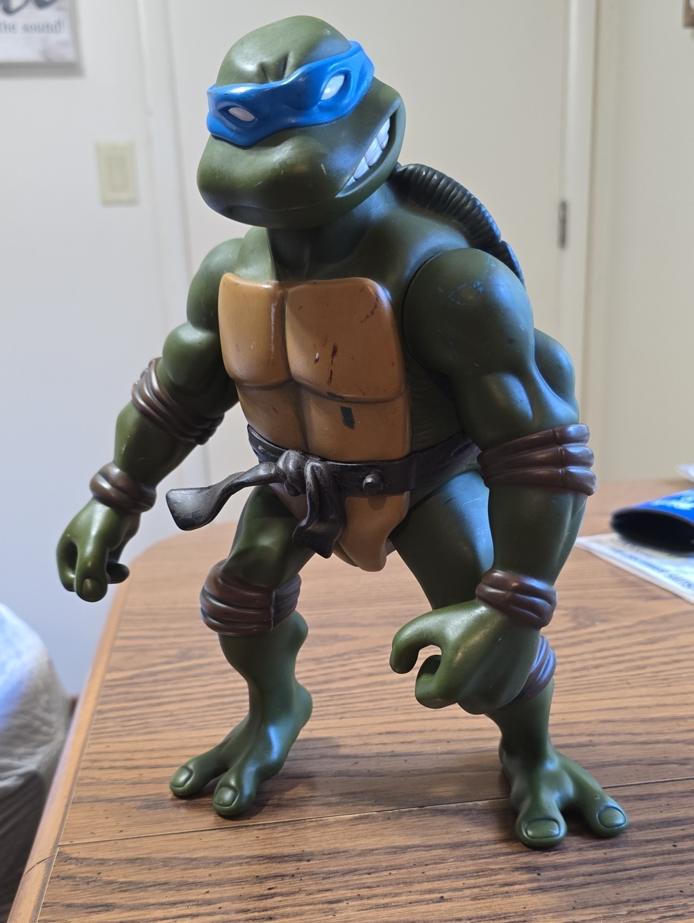 Teenage Mutant Ninja  Turtle Leonardo Action Figure - Mirage Studios